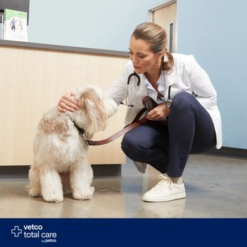 Petco Vet Hospital – Union Square, Manhattan. Full-service veterinary care inside Petco! Wellness exams, vaccinations, dental & surgery. Walk-ins welcome | Affordable, quality care, Located at: 860, Broadway, New York, NY 10003 (Union Square), Call: 212‑677‑4401. Call for appointments.